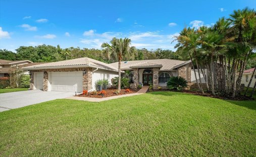 House in Palm Harbor, Florida, United States 1