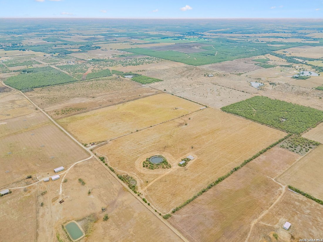 Farm Ranch in Falls City, Texas, United States 3 - 18948878