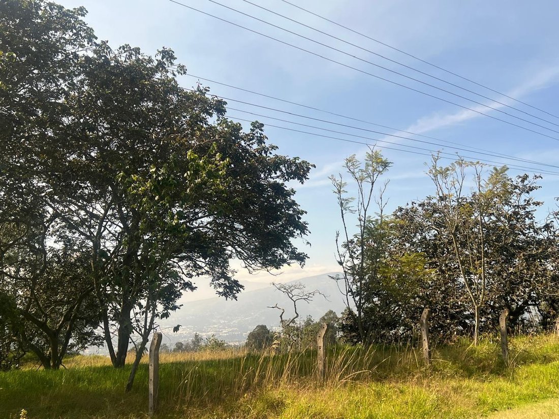 Land in Quito, Pichincha, Ecuador 2 - 18949421