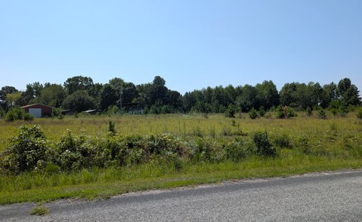Land in Holly Springs, North Carolina, United States 1
