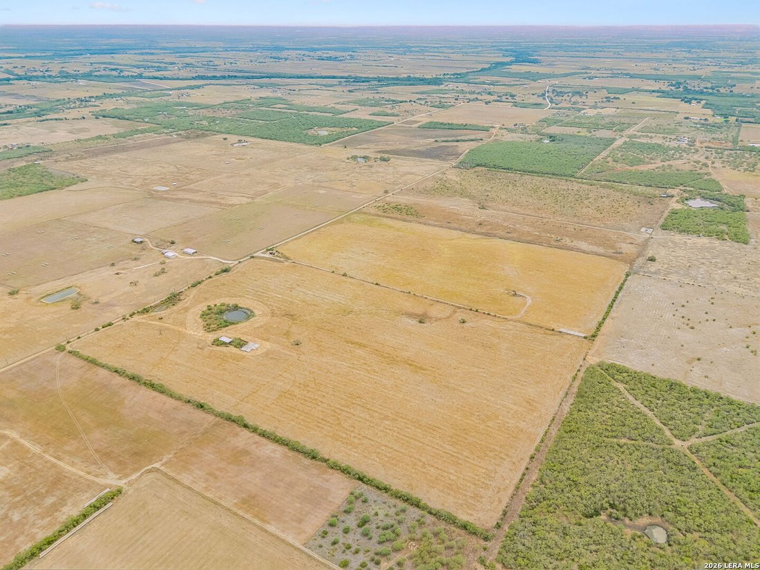 Farm Ranch in Falls City, Texas, United States 5 - 18948878