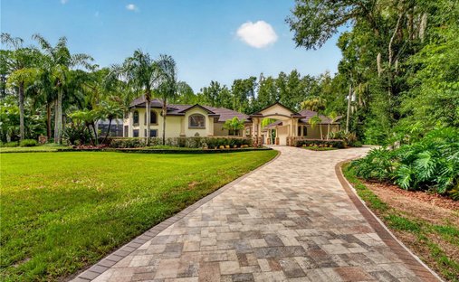 House in Land O' Lakes, Florida, United States 1