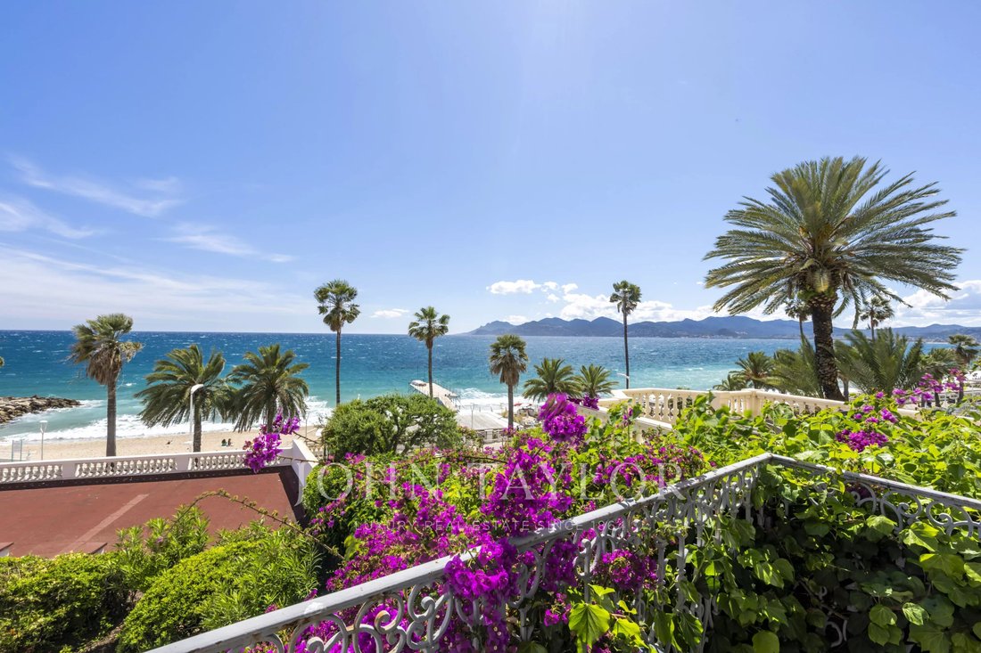 Apartment in Cannes, Provence-Alpes-Côte d'Azur, France 3 - 16923808