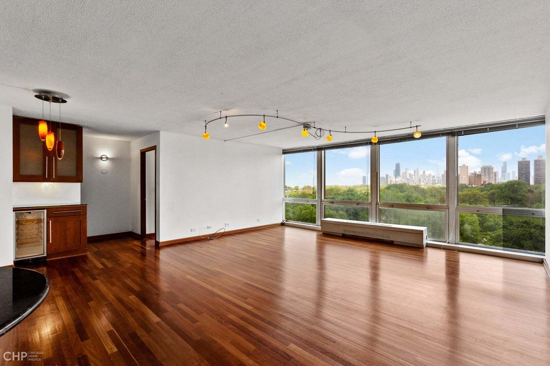 Condo in Chicago, Illinois, United States 3 - 18953317