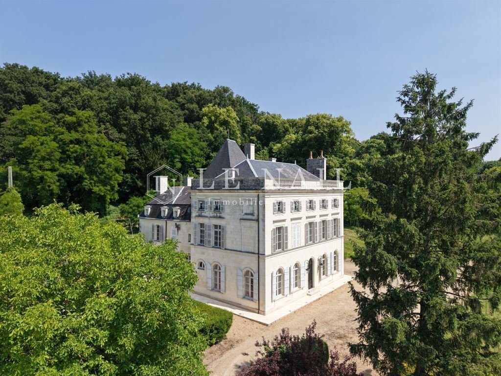 Castle in Lac de Maine-Molière, Angers, France 1 - 18954853
