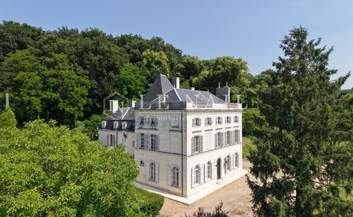 Castle in Lac de Maine-Molière, Angers, France 1