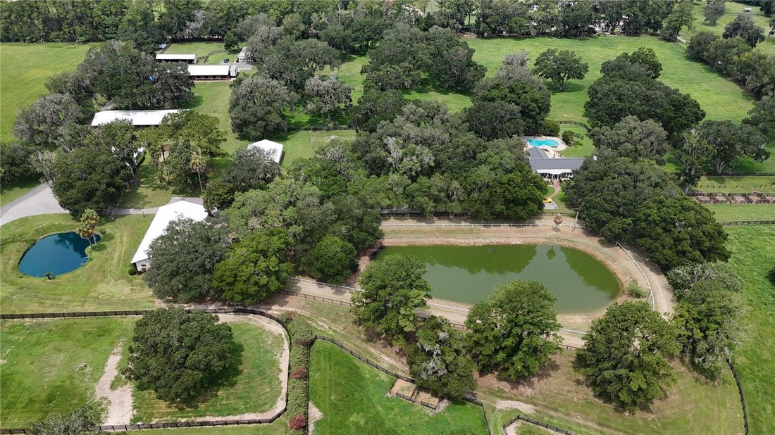 Farm Ranch in Reddick, Florida, United States 4 - 18949066