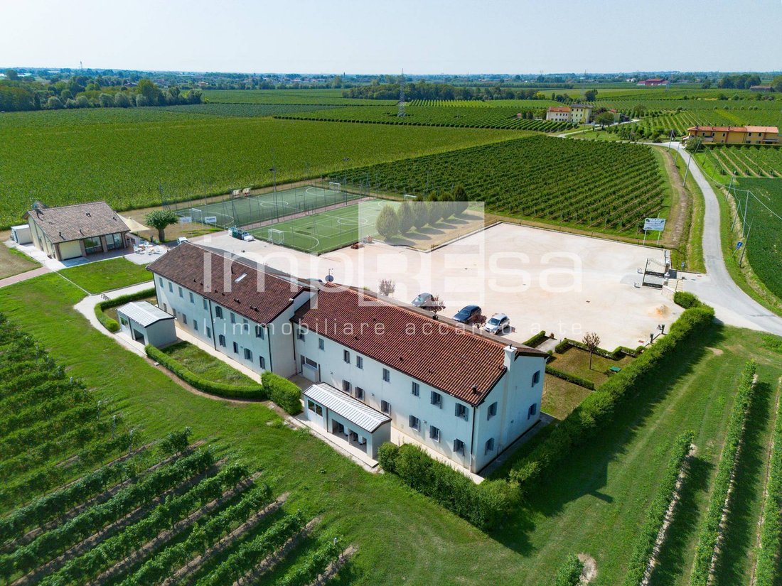 Farm Ranch in Chiarano, Veneto, Italy 5 - 18955437