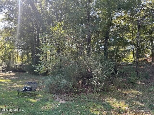Land in Olive Branch, Mississippi, United States 5 - 18956003