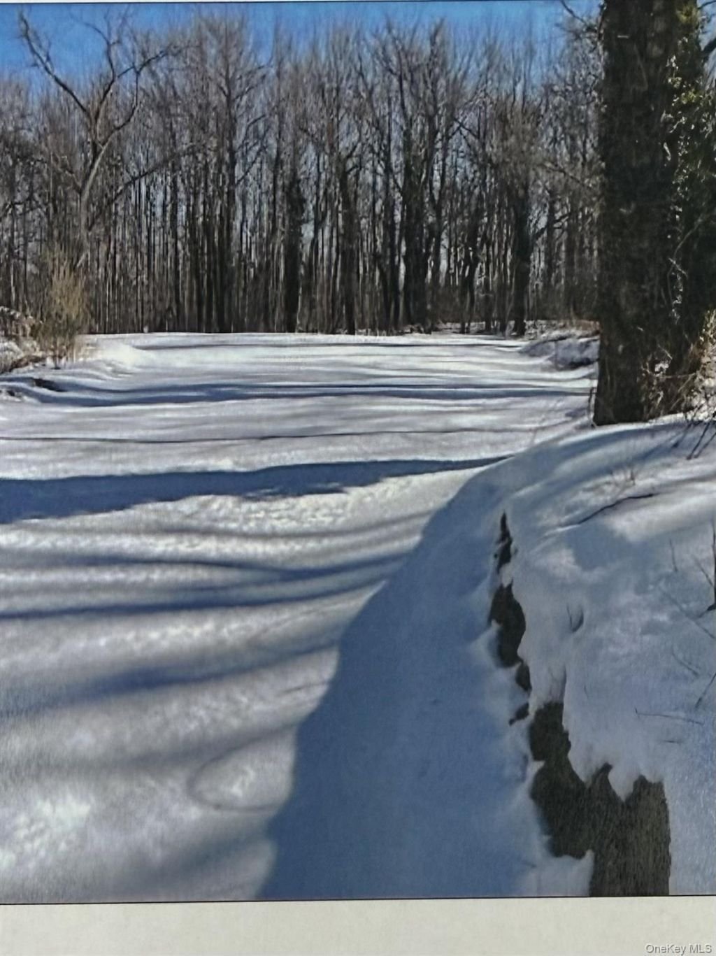 Land in Woodbury, New York, United States 4 - 18955488