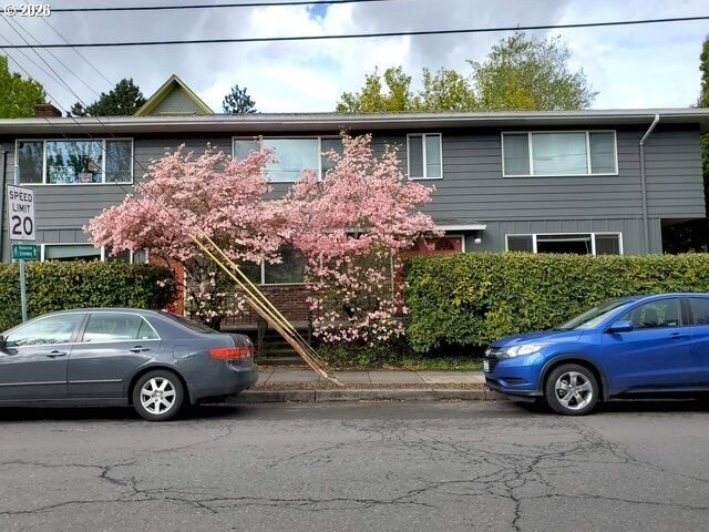 House in Portland, Oregon, United States 1 - 18956731