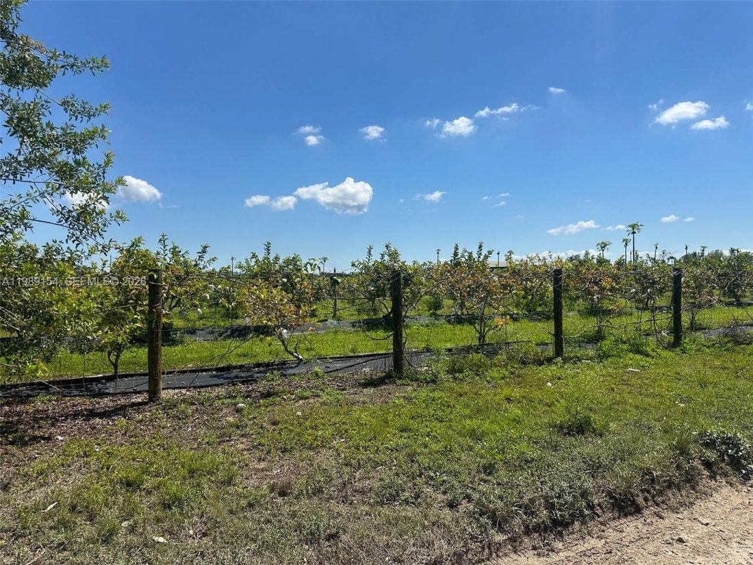Land in Homestead, Florida, United States 4 - 18955712