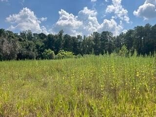 Land in Charleston, South Carolina, United States 5 - 18955548