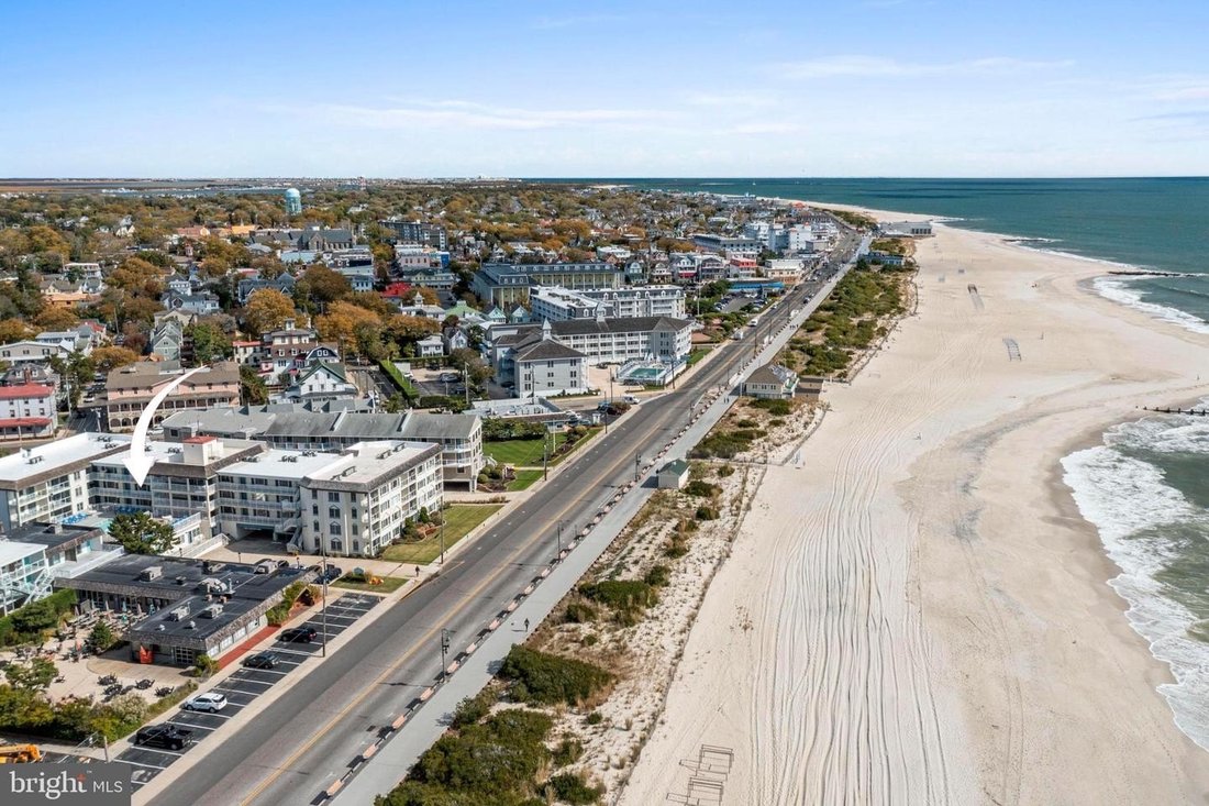 Cape May, New Jersey, United States 3 - 18956932