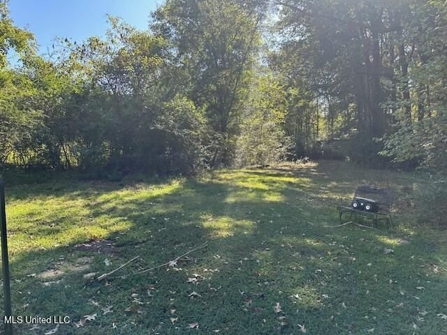Land in Olive Branch, Mississippi, United States 4 - 18956003