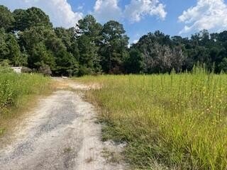 Land in Charleston, South Carolina, United States 4 - 18955548