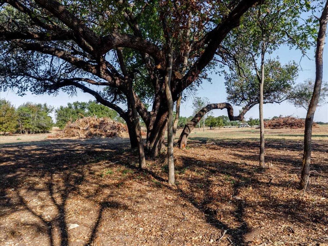 Land in Santo, Texas, United States 3 - 18956155