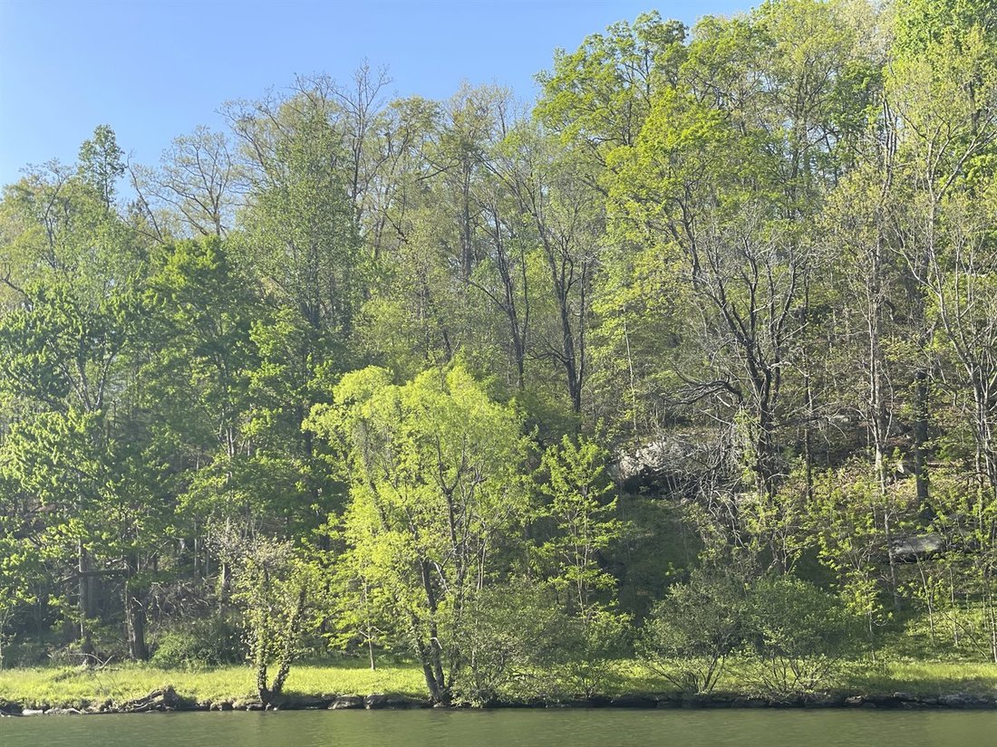 Land in Lake Lure, North Carolina, United States 2 - 18955968