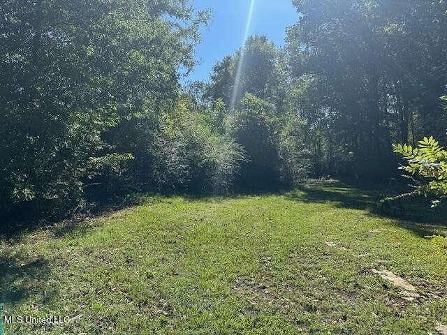 Land in Olive Branch, Mississippi, United States 2 - 18956003