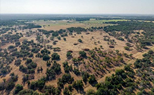 Land in Santo, Texas, United States 1
