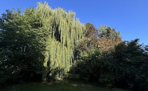 House in Est, Leers, France 1