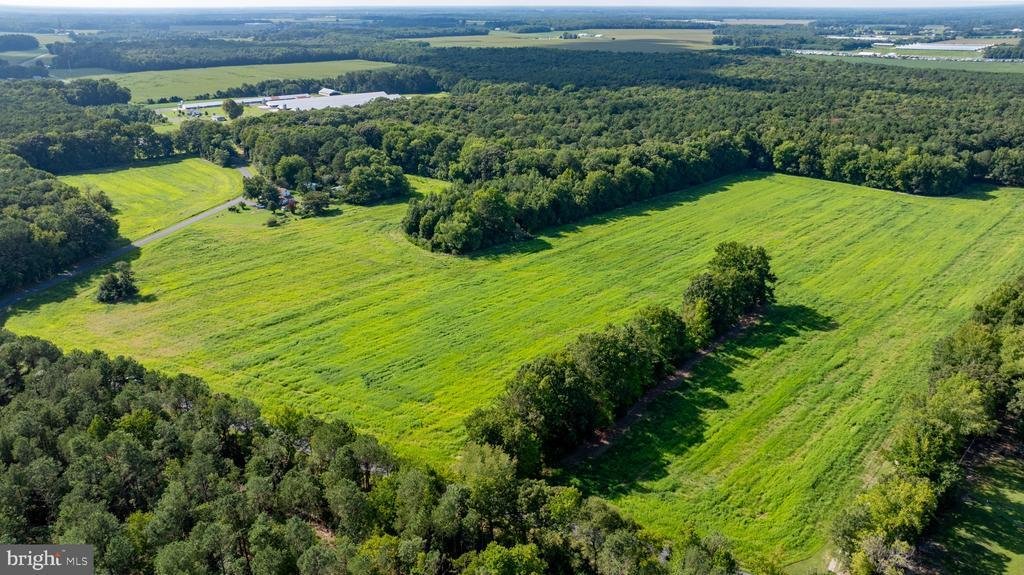 Land in Laurel, Delaware, United States 5 - 18958841