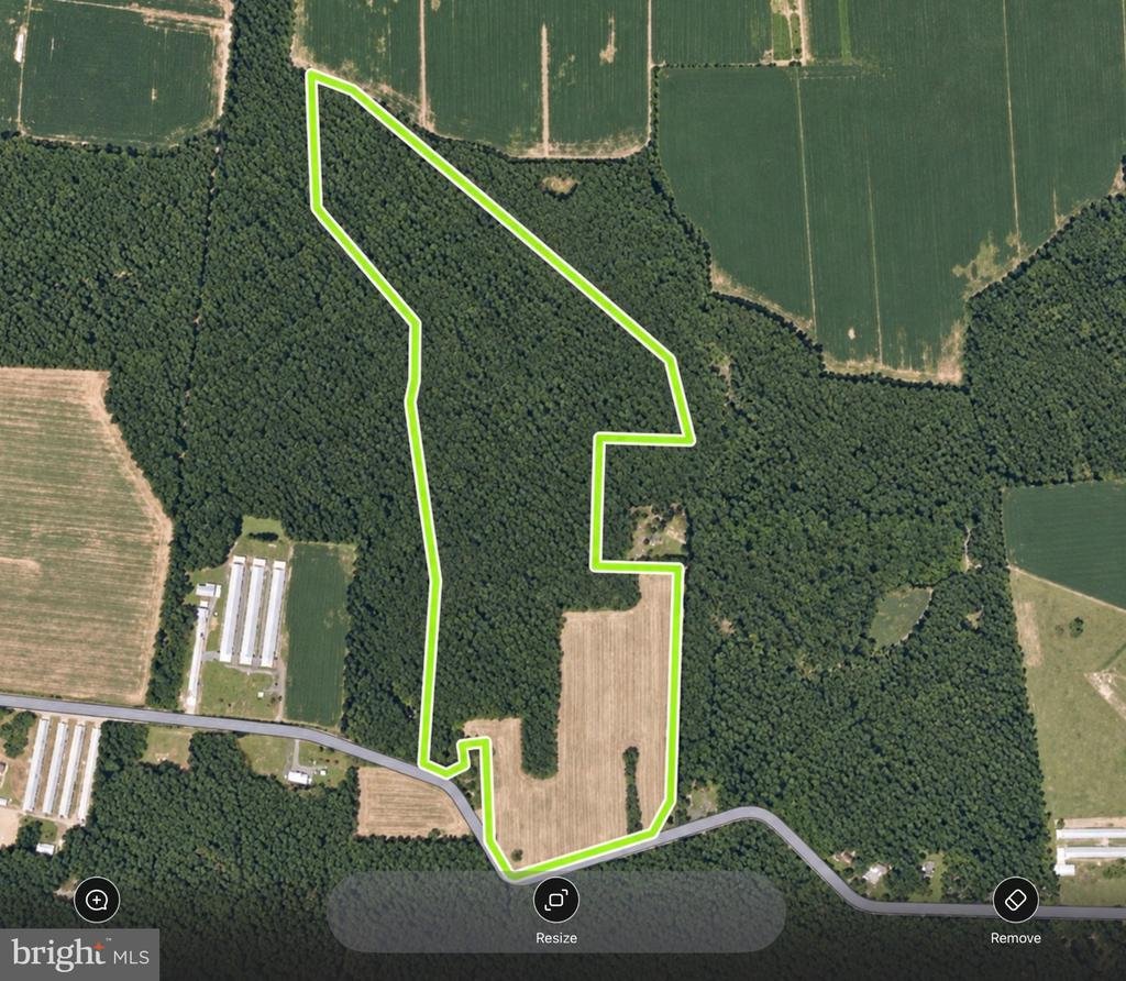 Land in Laurel, Delaware, United States 4 - 18958841
