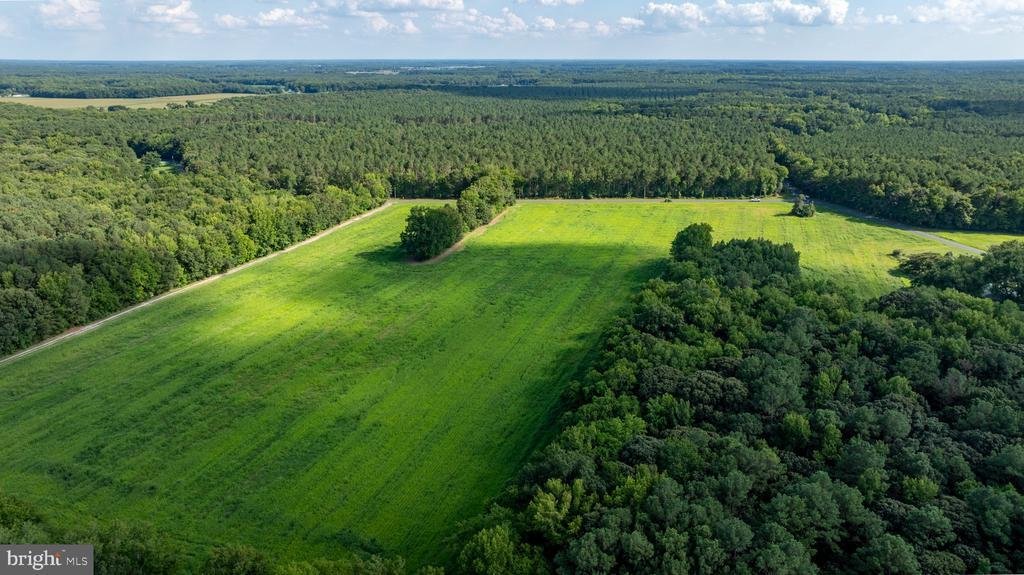Land in Laurel, Delaware, United States 3 - 18958841