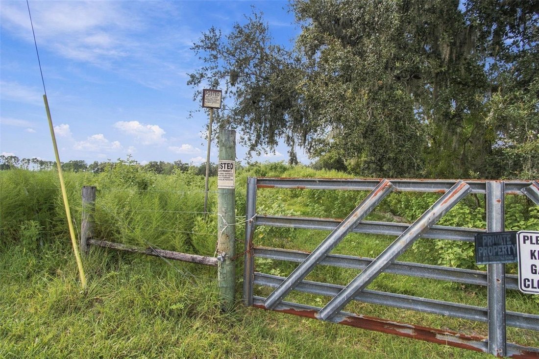 Land in Land O' Lakes, Florida, United States 4 - 18958849