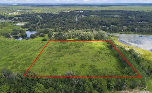 Land in Land O' Lakes, Florida, United States 1