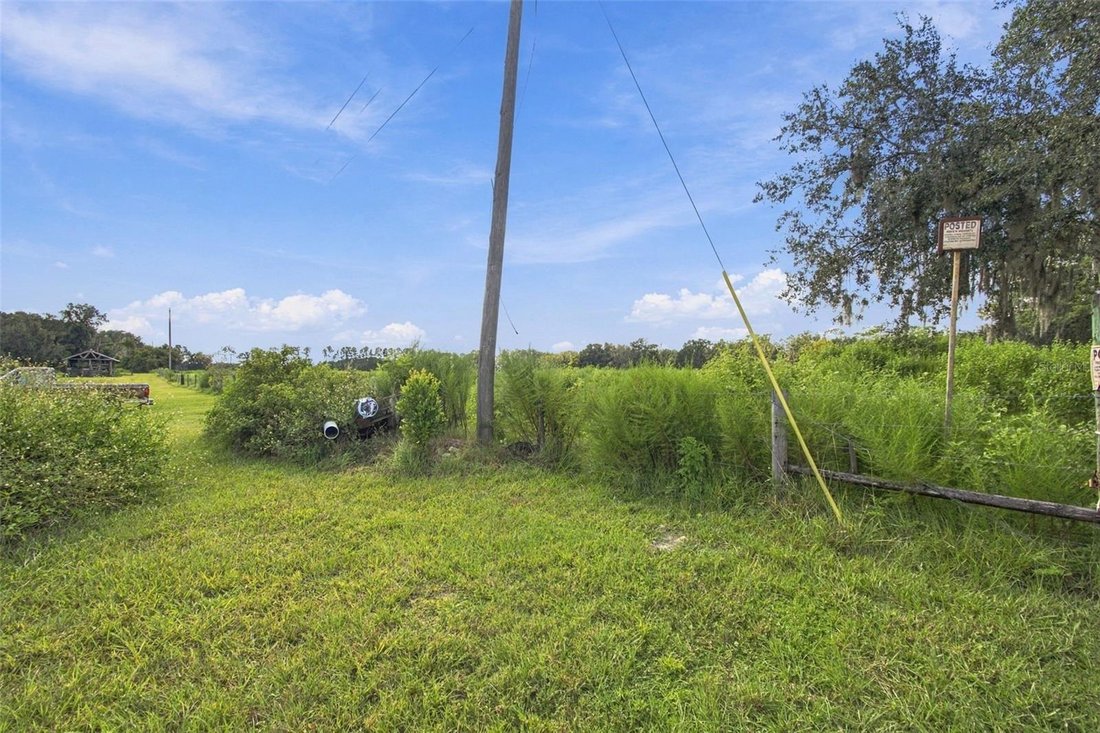 Land in Land O' Lakes, Florida, United States 3 - 18958849