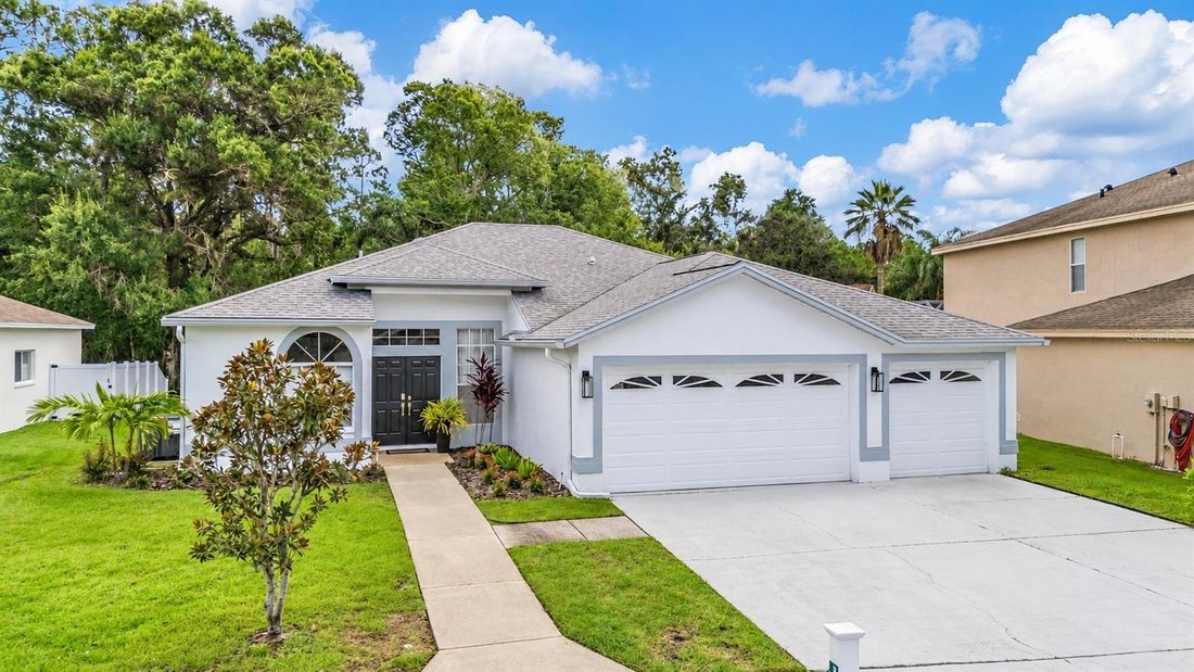 House in Odessa, Florida, United States 3 - 18958503