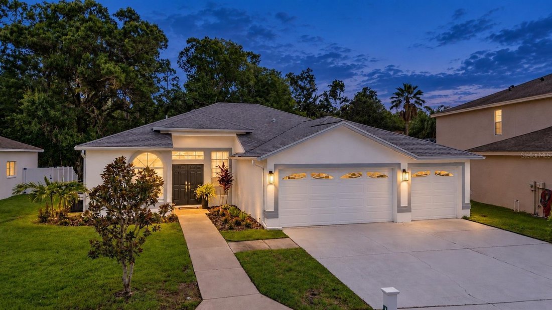 House in Odessa, Florida, United States 1 - 18958503