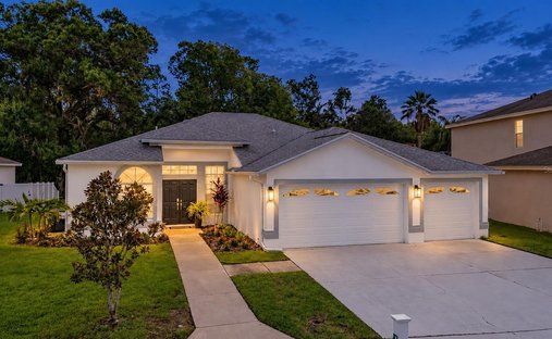 House in Odessa, Florida, United States 1