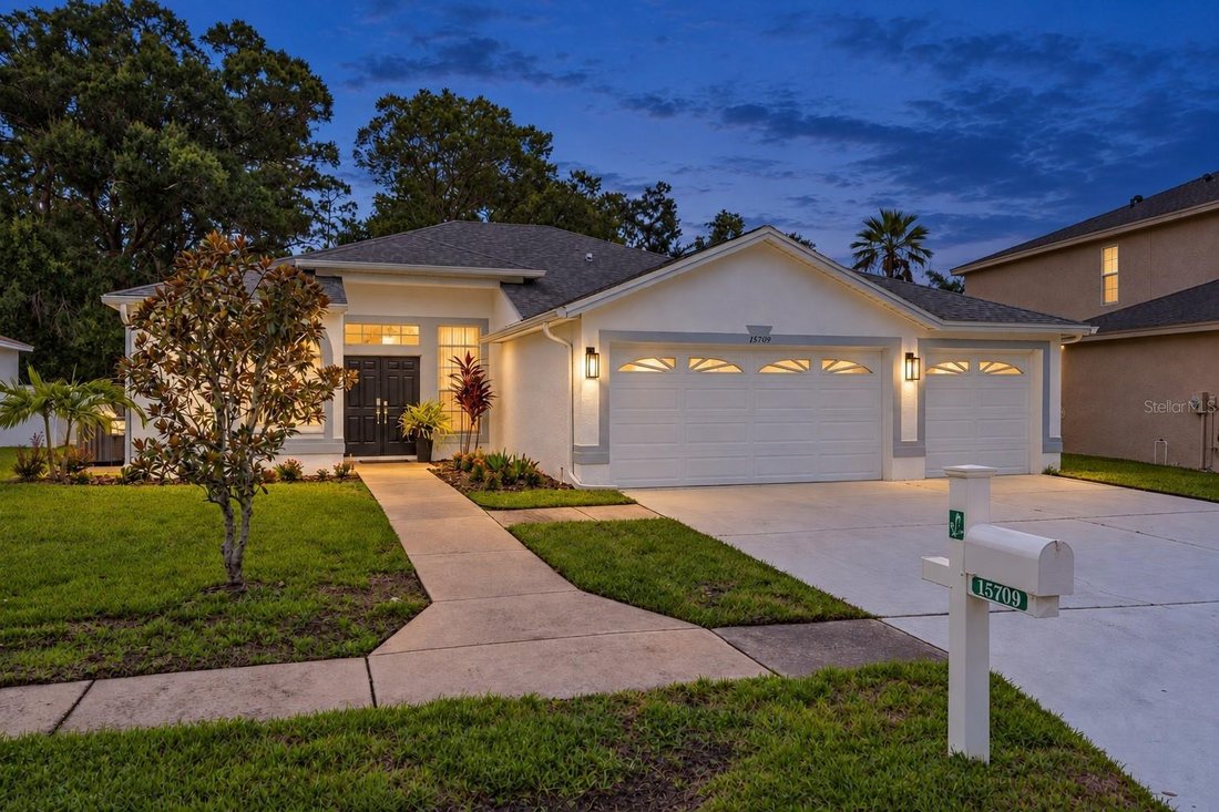 House in Odessa, Florida, United States 4 - 18958503
