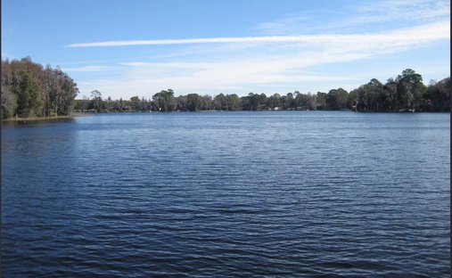 House in Odessa, Florida, United States 1