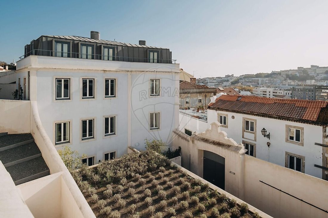 Apartment in Arroios, Lisbon, Portugal 3 - 18946617