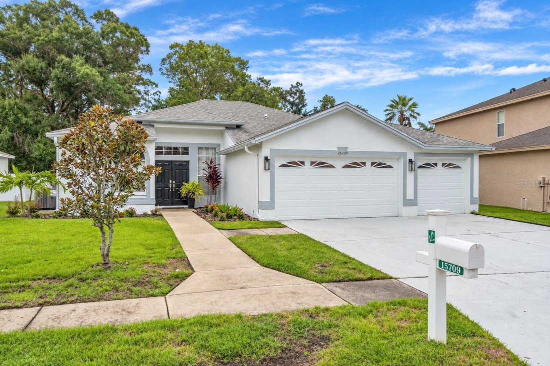 House in Odessa, Florida, United States 5 - 18958503