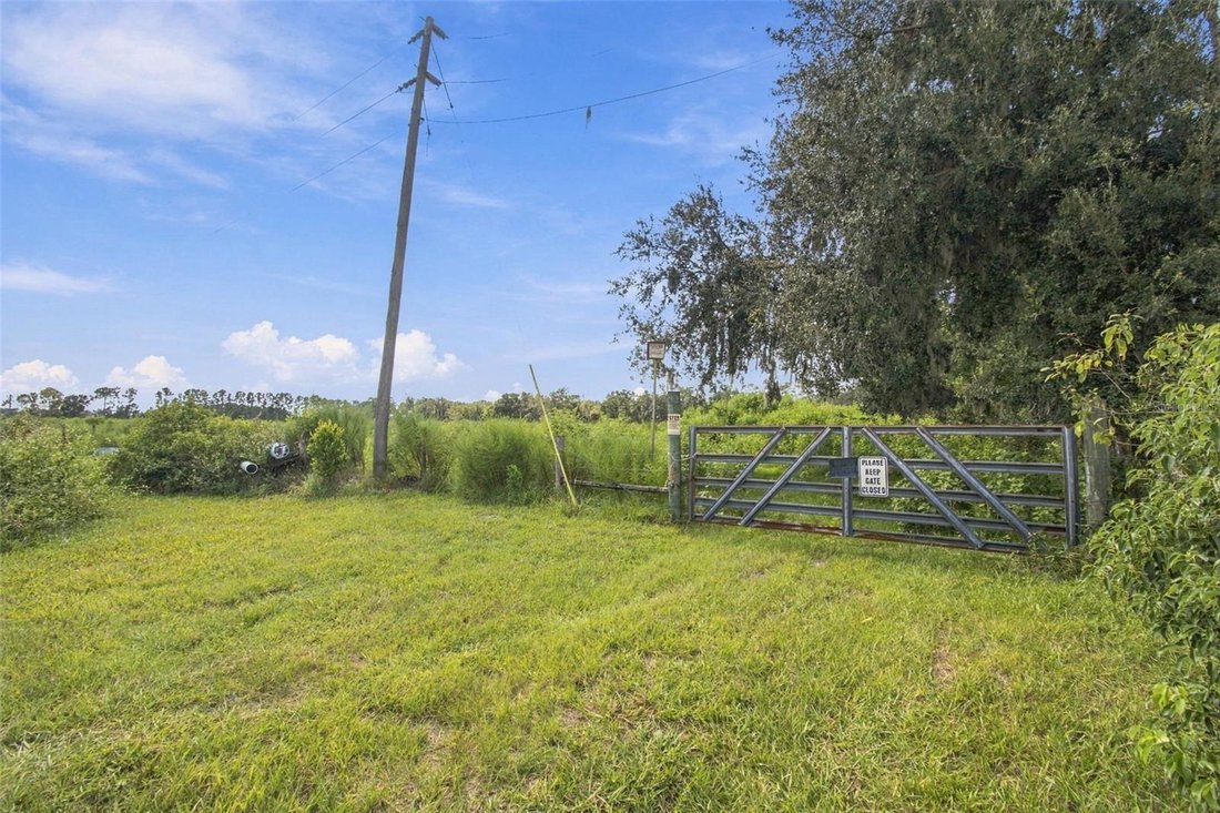 Land in Land O' Lakes, Florida, United States 2 - 18958849