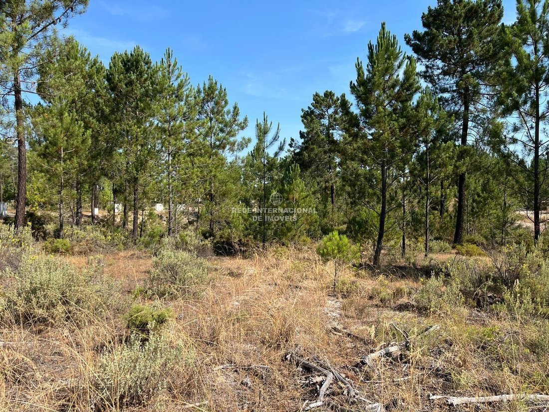 Apartamento en Grandola y Santa Margarida da Serra, Setúbal Municipality, Portugal 5 - 18959867