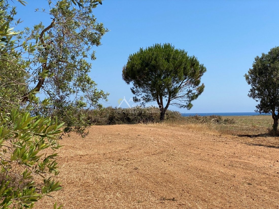 Land in Ostuni, Apulia, Italy 3 - 18958818