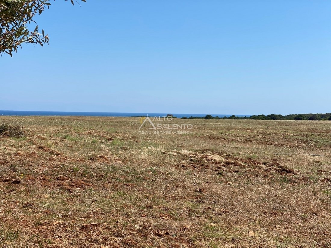 Land in Ostuni, Apulia, Italy 5 - 18958818