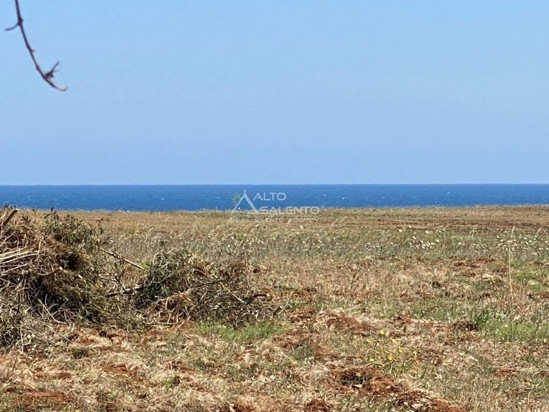 Land in Ostuni, Apulia, Italy 1 - 18958818
