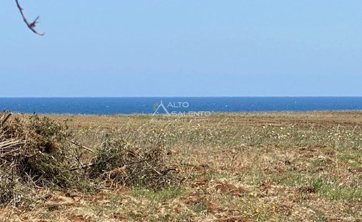 Land in Ostuni, Apulia, Italy 1