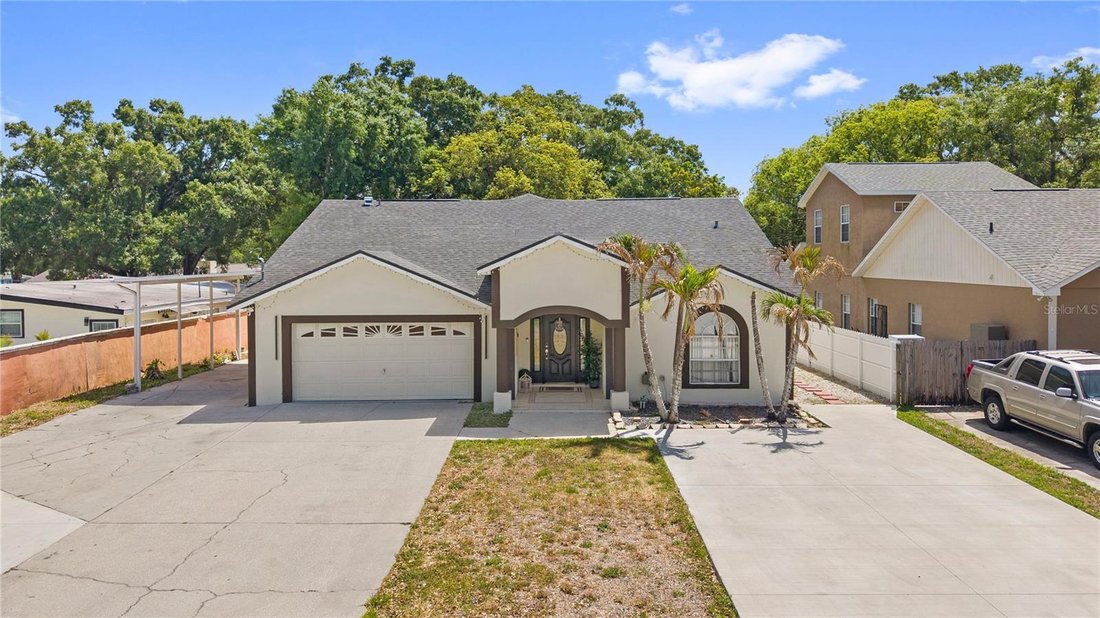 House in Tampa, Florida, United States 1 - 18958481