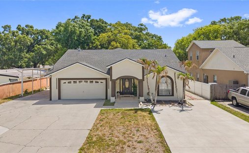 House in Tampa, Florida, United States 1
