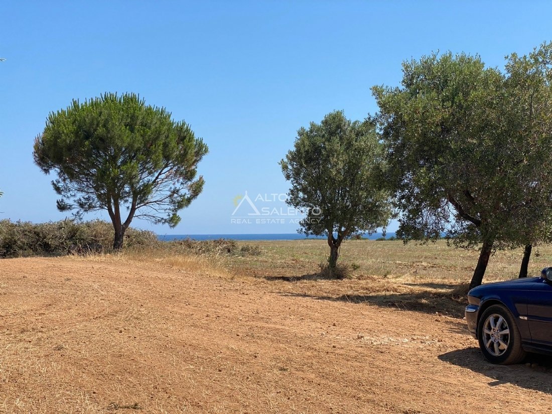 Land in Ostuni, Apulia, Italy 2 - 18958818