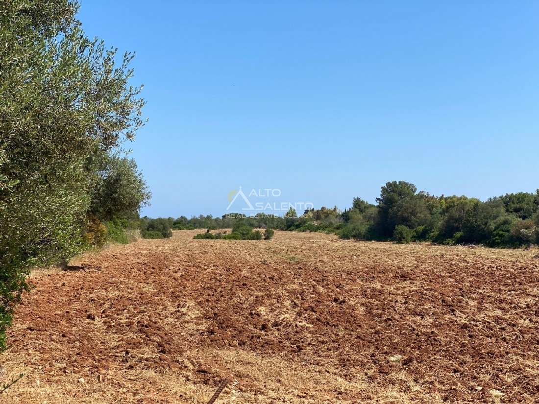Land in Ostuni, Apulia, Italy 4 - 18958818