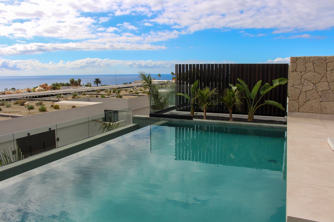 Villa in La Caleta, Adeje, Canary Islands 2 - 18960561