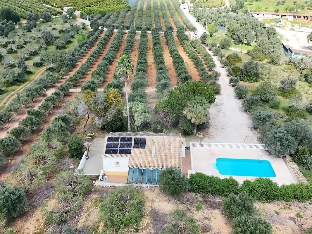 Farm Ranch in Lagoa e Carvoeiro, Algarve, Portugal 4 - 18960790